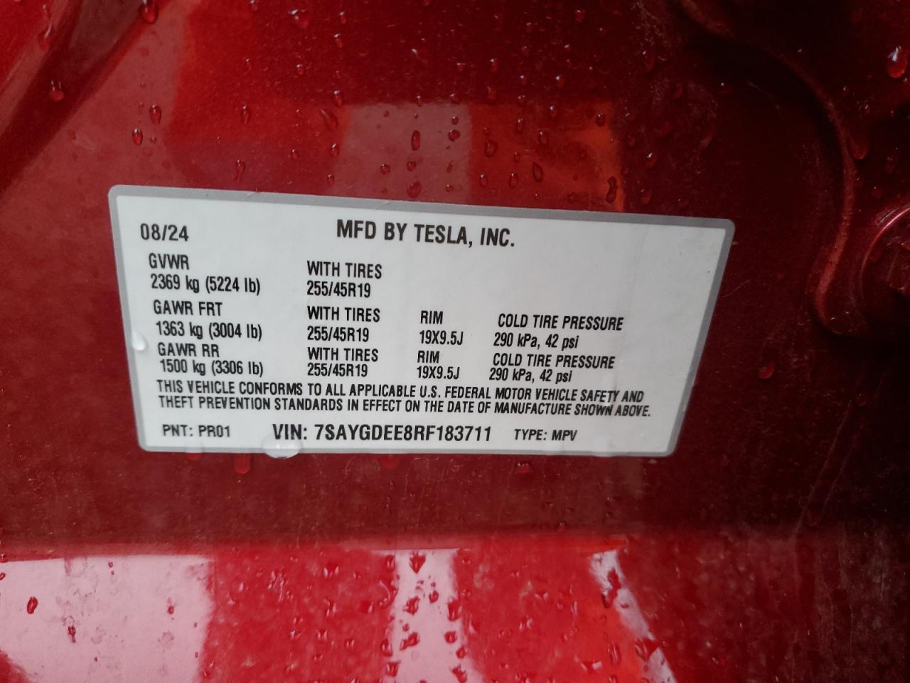 2024 TESLA MODEL Y  VIN:7SAYGDEE8RF183711