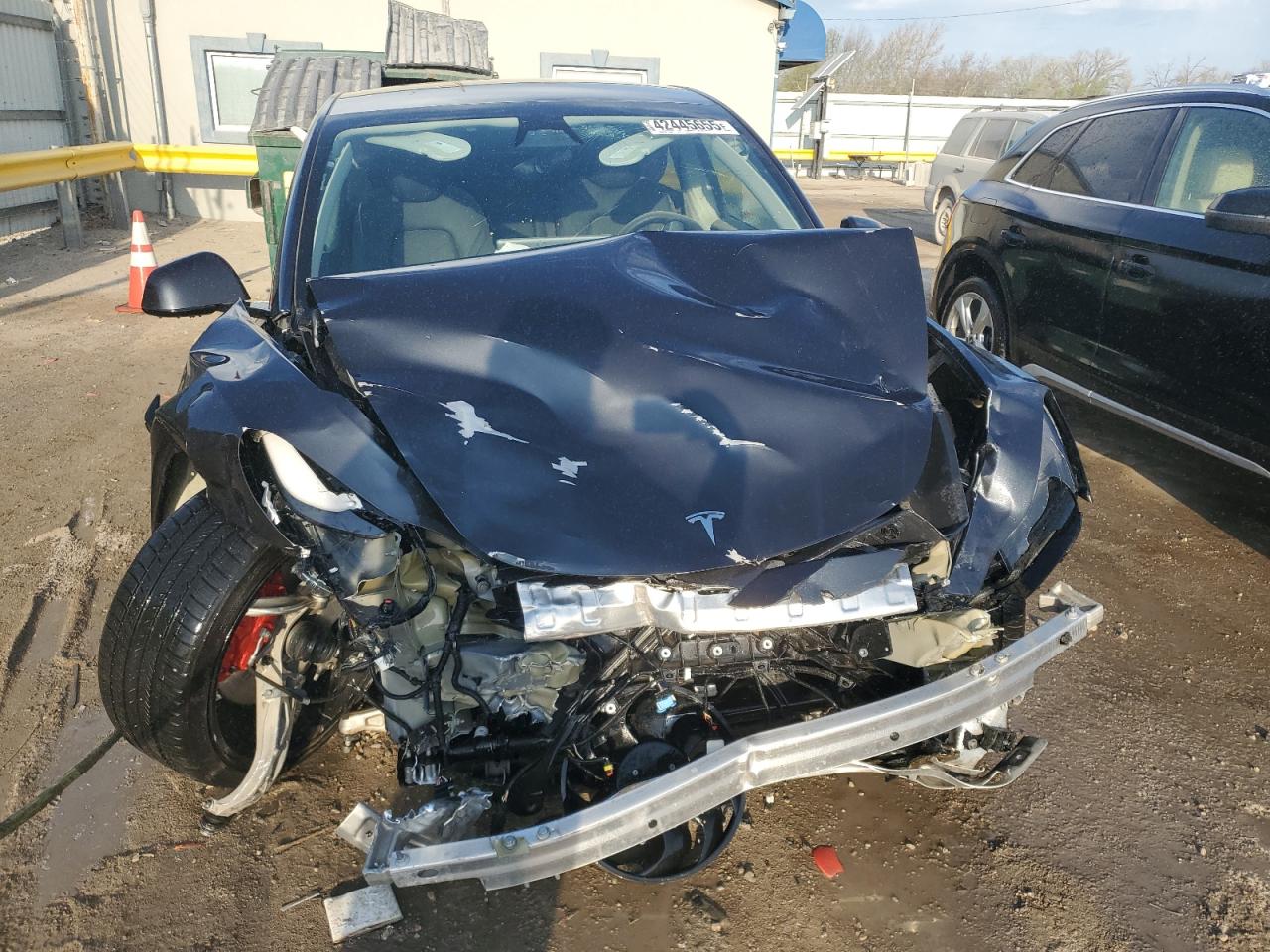 2024 TESLA MODEL Y  VIN:7SAYGDEF8RF034384