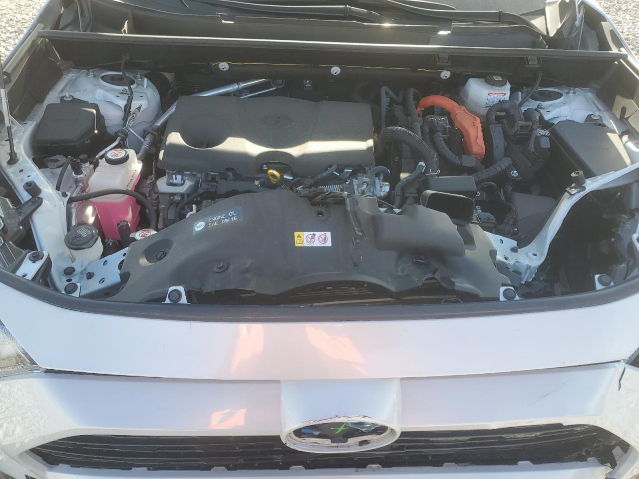 2023 TOYOTA RAV4 SE VIN:JTM16RFV1PD086688