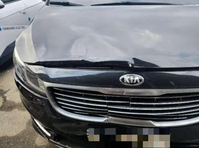 2015 Kia Carnival VIN: