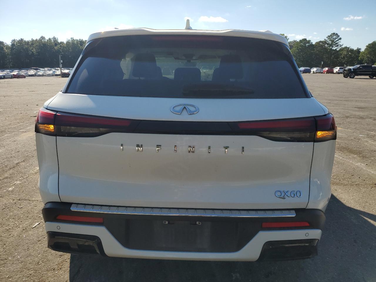 2023 INFINITI QX60 LUXE VIN:5N1DL1FR5PC347638