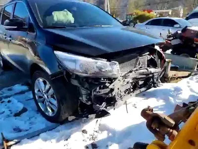 2016 Kia Carnival KNAMC81ABHS307524 VIN:KNAMC81ABHS307524