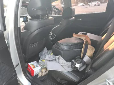 2019 Hyundai Santa FE KMHS381BBKU156411 VIN:KMHS381BBKU156411