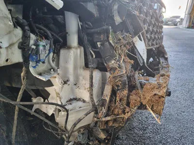 2019 Hyundai Santa FE KMHS581CDKU150496 VIN:KMHS581CDKU150496