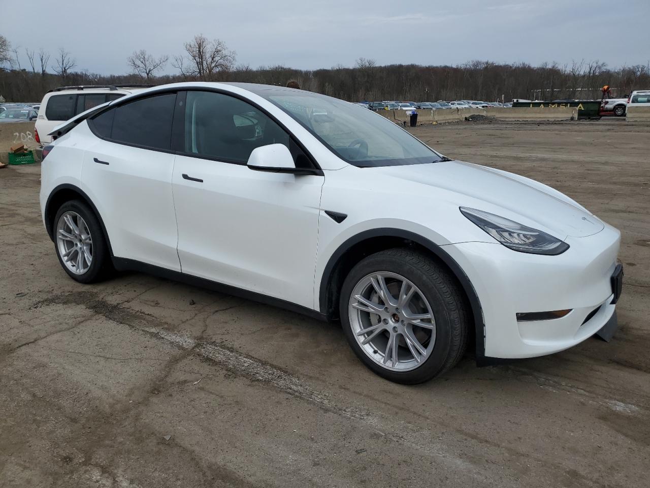 2023 TESLA MODEL Y  VIN:7SAYGDEE9PA081988