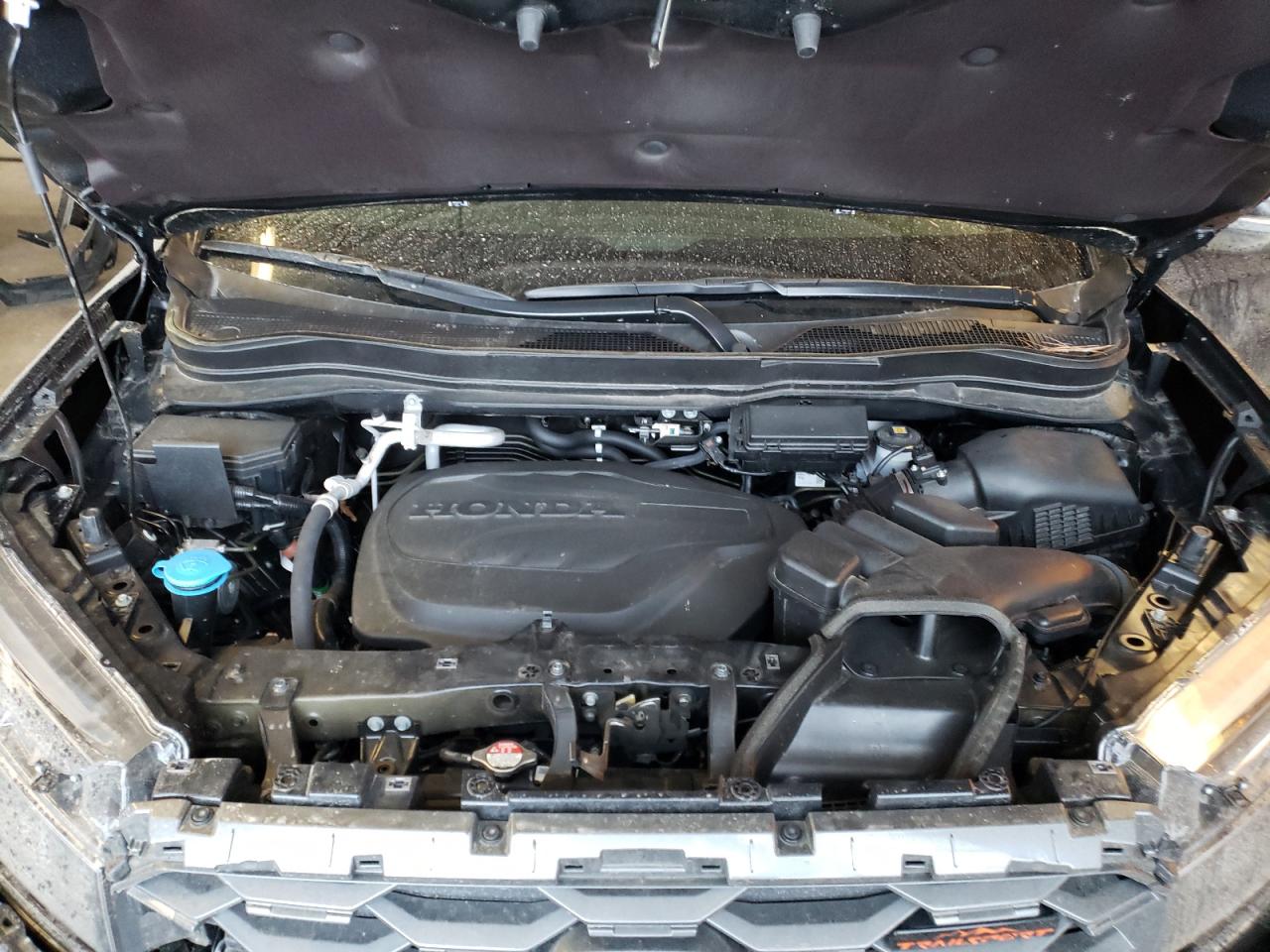 2023 HONDA PASSPORT TRAIL SPORT VIN:5FNYF8H6XPB012449