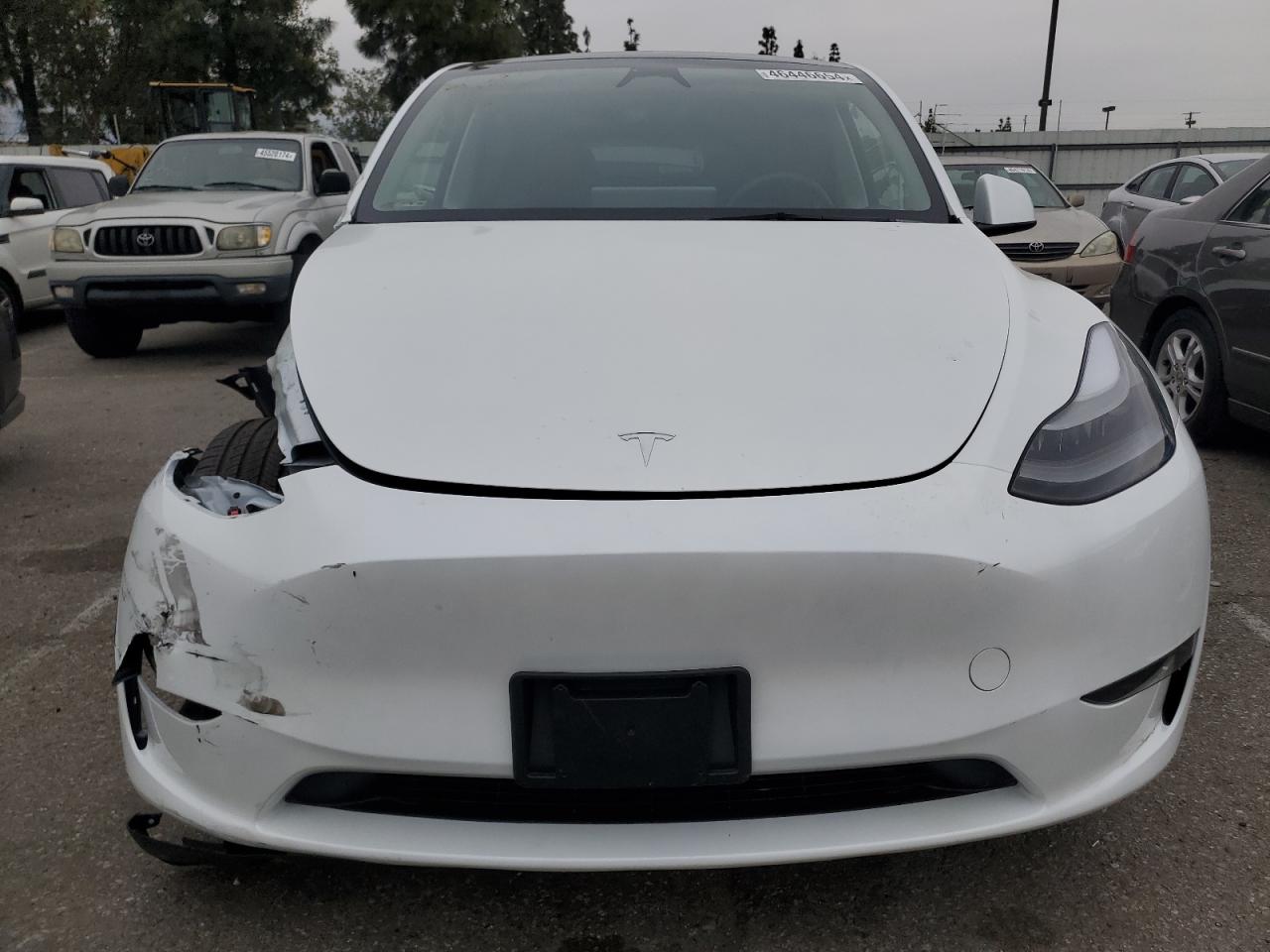 2023 TESLA MODEL Y  VIN:7SAYGDEE2PA180412