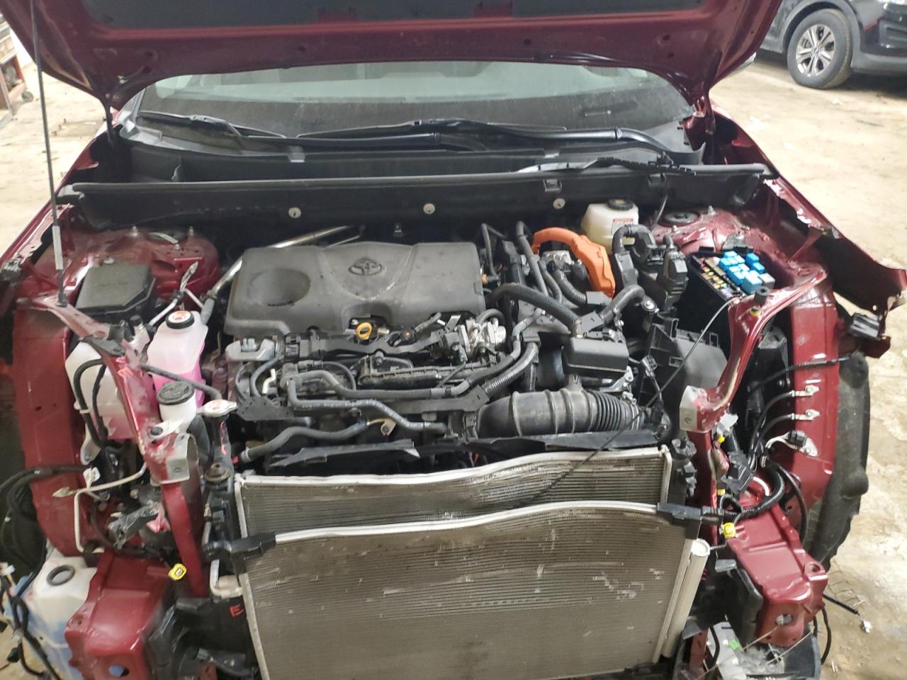 2024 TOYOTA RAV4 XLE VIN:4T3RWRFVXRU118353