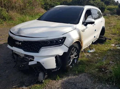 2021 Kia Sorento KNARK81BHNA133310 VIN:KNARK81BHNA133310