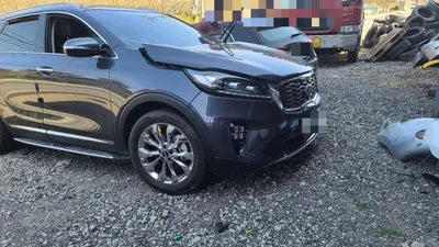 2019 Kia Sorento KNAPS81ABLA591712 VIN:KNAPS81ABLA591712