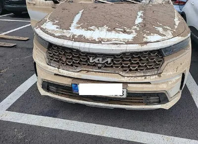 2022 Kia Sorento KNARH81GBNA064779 VIN:KNARH81GBNA064779