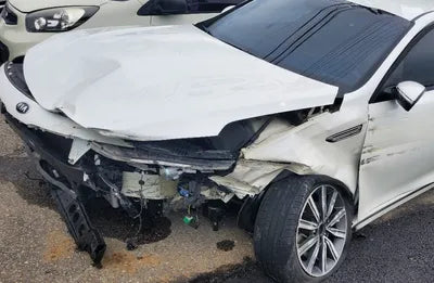 2019 Kia K5 KNAGT411BKA271109 VIN:KNAGT411BKA271109