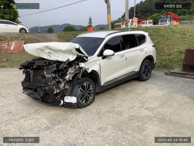 2019 Hyundai Santa FE KMHS381BBKU169090 VIN:KMHS381BBKU169090