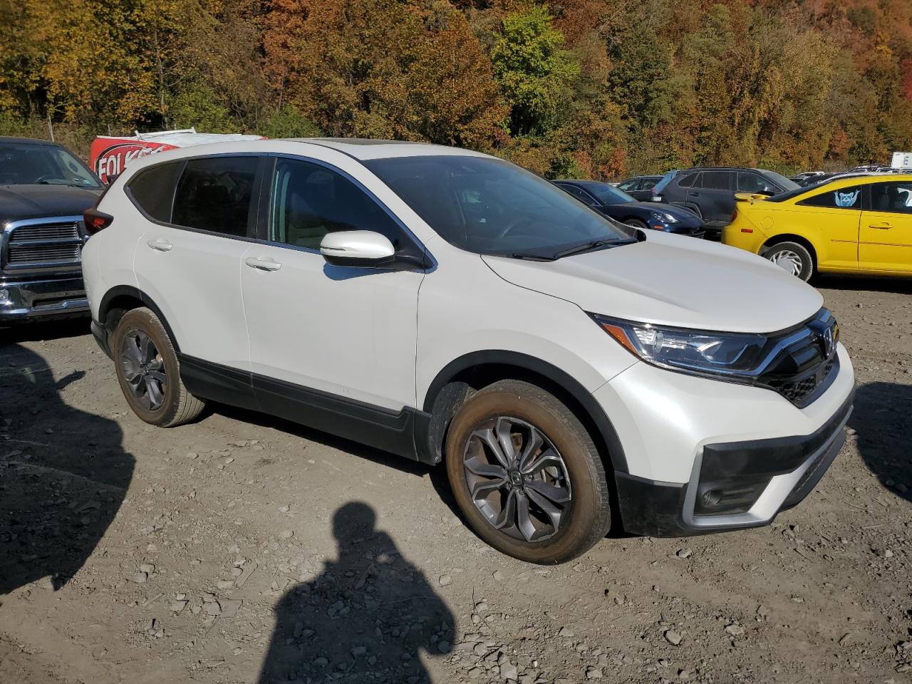 2022 HONDA CR-V EX VIN:5J6RW2H51NL003572