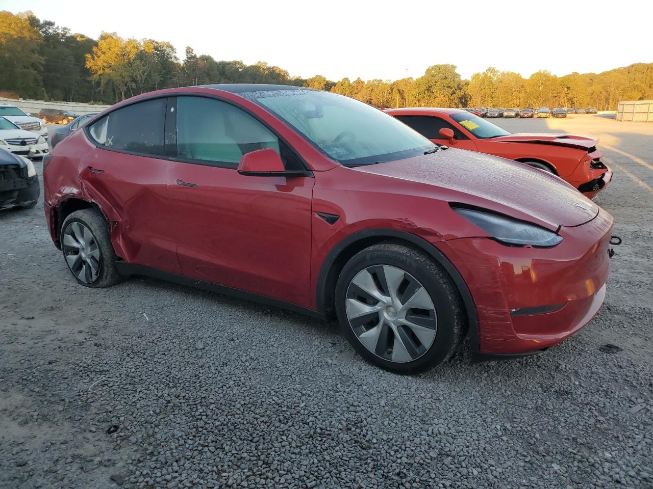 2022 TESLA MODEL Y  VIN:7SAYGDEEXNF564146
