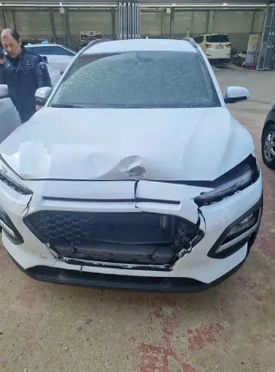 2019 Hyundai Kona KMHK4815GKU412636 VIN:KMHK4815GKU412636