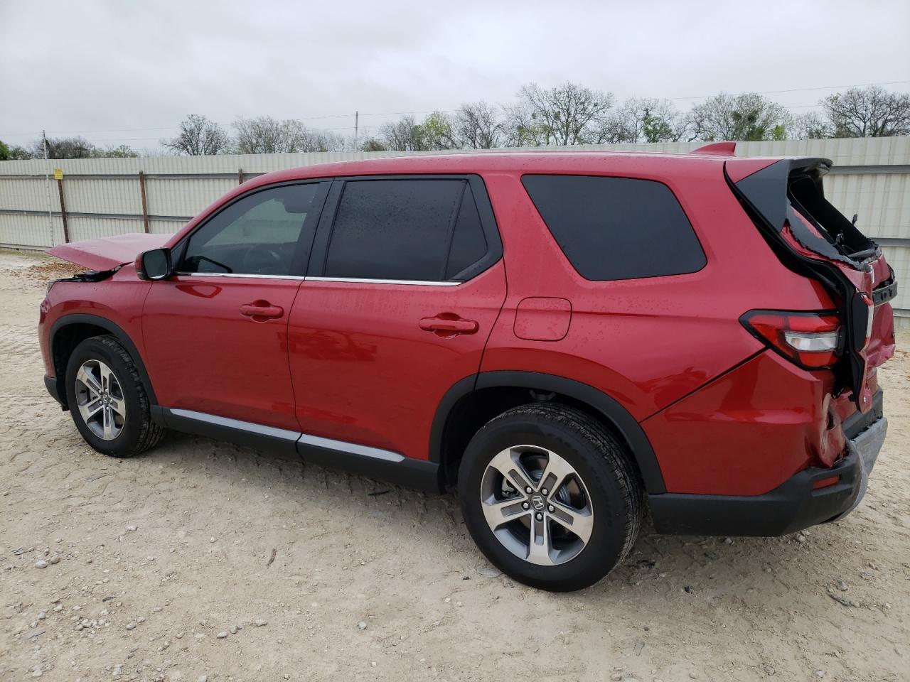 2024 HONDA PILOT EXL VIN:5FNYG1H47RB023219