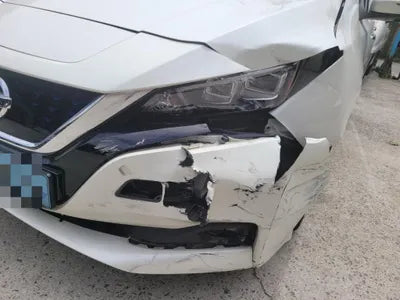 2019 Nissan Leaf VIN: