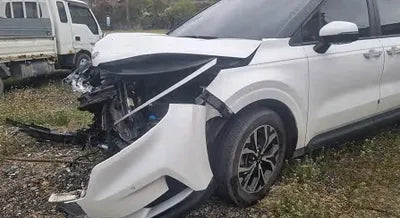 2021 Kia Carnival KNANB81BBMS026208 VIN:KNANB81BBMS026208