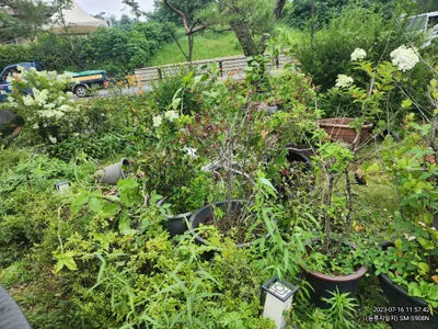 2020 BMW 740 WBA7T410XLCE40015 VIN:WBA7T410XLCE40015