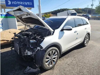2019 Kia Sorento 130KMKNAPK81BBKA5 VIN:130KMKNAPK81BBKA5