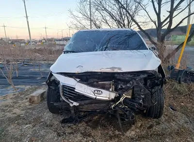 2018 Kia Carnival KNAME81ABJS434732 VIN:KNAME81ABJS434732