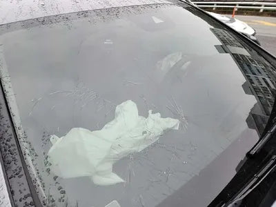 2019 Mercedes-Benz E 220 WDDZF0EB8KA618055 VIN:WDDZF0EB8KA618055