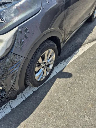 2017 Kia Sorento KNAPS81BBJA419260 VIN:KNAPS81BBJA419260