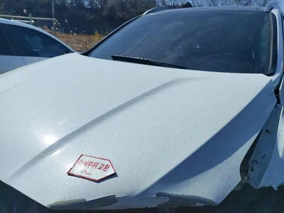 2019 Hyundai Santa FE KMHS281BBKU161615 VIN:KMHS281BBKU161615