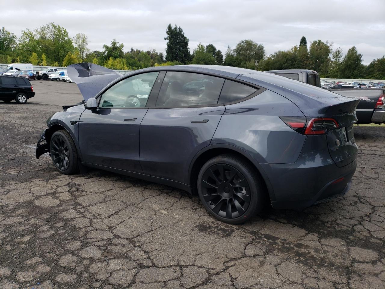 2023 TESLA MODEL Y  VIN:7SAYGDEE0PF880867