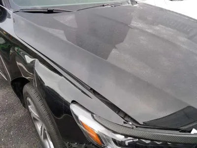 2019 Honda Accord 1HGCV1650KA511751 VIN:1HGCV1650KA511751