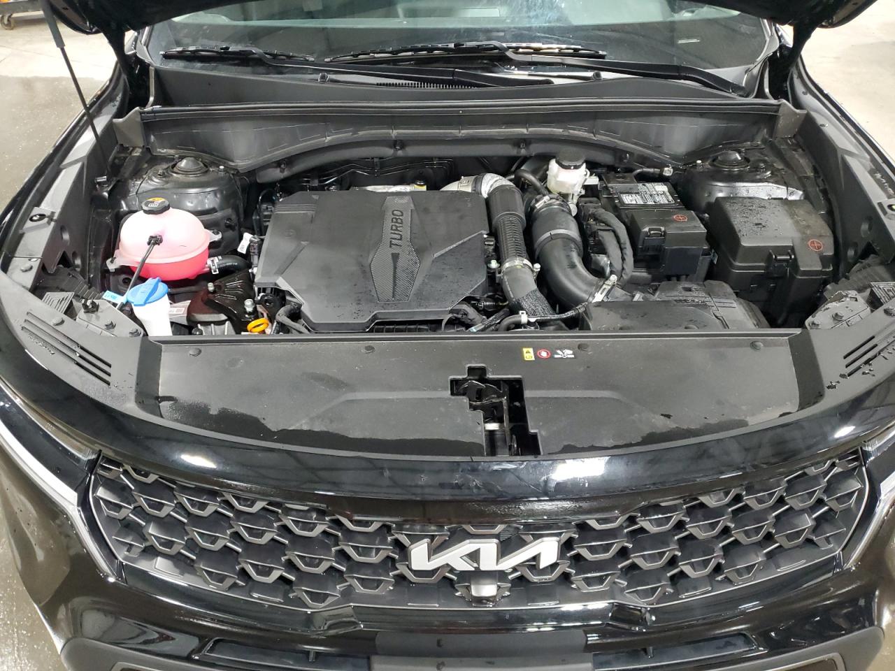 2023 KIA SORENTO SX VIN:5XYRKDLF7PG222404