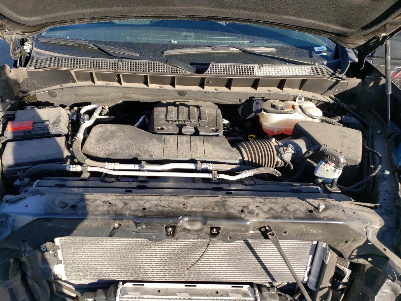 2023 CHEVROLET SILVERADO K1500 CUSTOM VIN:3GCPDBEK0PG342322