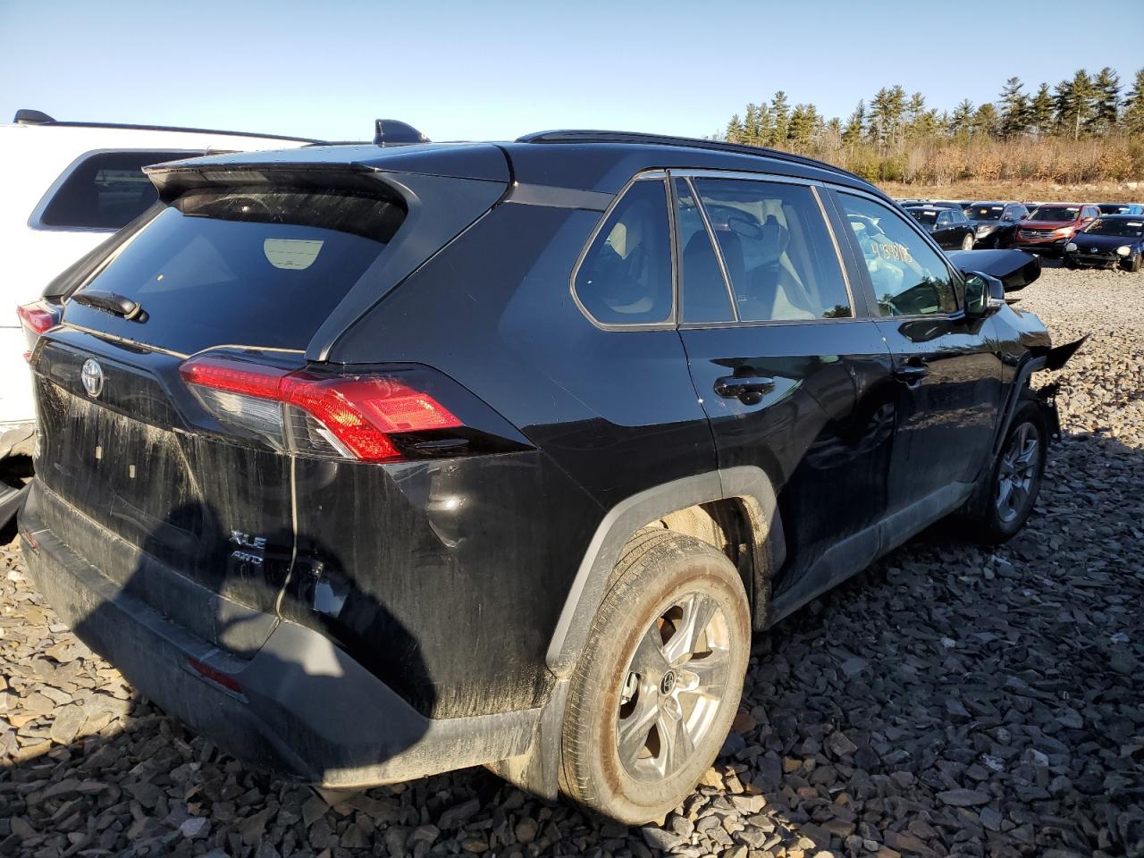 2024 TOYOTA RAV4 XLE VIN:2T3P1RFV3RC454515