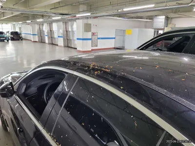 2023 BMW 530 WBA51AG04PCL09247 VIN:WBA51AG04PCL09247