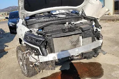 2021 Kia Sorento KNARL81BHMA089057 VIN:KNARL81BHMA089057