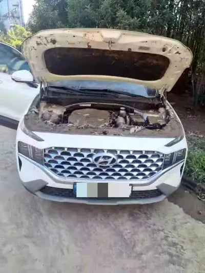 2020 Hyundai Santa FE VIN: