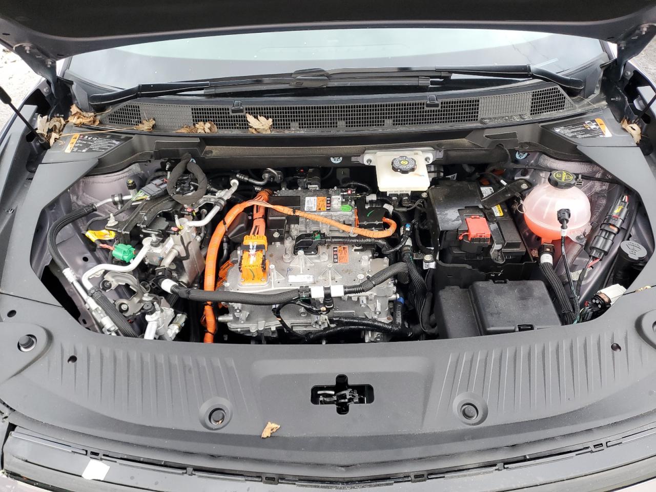 2024 CHEVROLET EQUINOX 2LT VIN:3GN7DLRP3RS275900