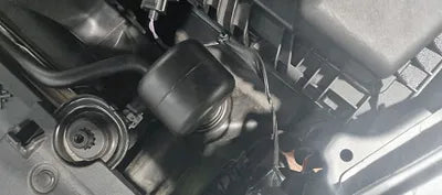 2021 Ford Mustang 1FATP8UH3M5112782 VIN:1FATP8UH3M5112782