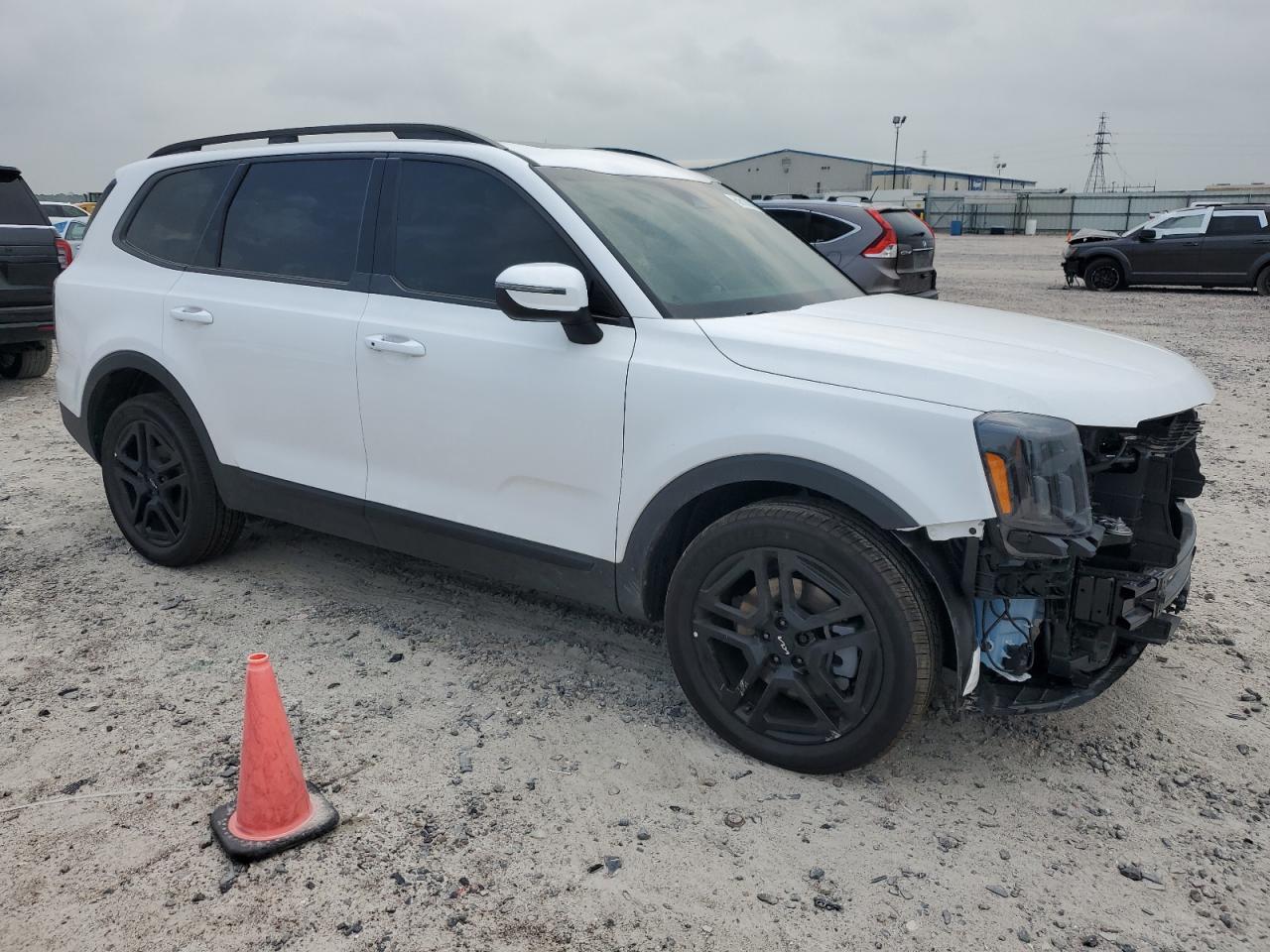 2024 KIA TELLURIDE EX VIN:5XYP3DGC4RG468009