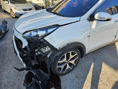 2016 Kia Sportage KNAPN813BGK034007 VIN:KNAPN813BGK034007