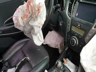 2015 Hyundai Santa FE KMHSW81XDFU418422 VIN:KMHSW81XDFU418422