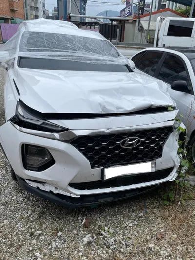 2019 Hyundai Santa FE KMHS381BBKU171201 VIN:KMHS381BBKU171201
