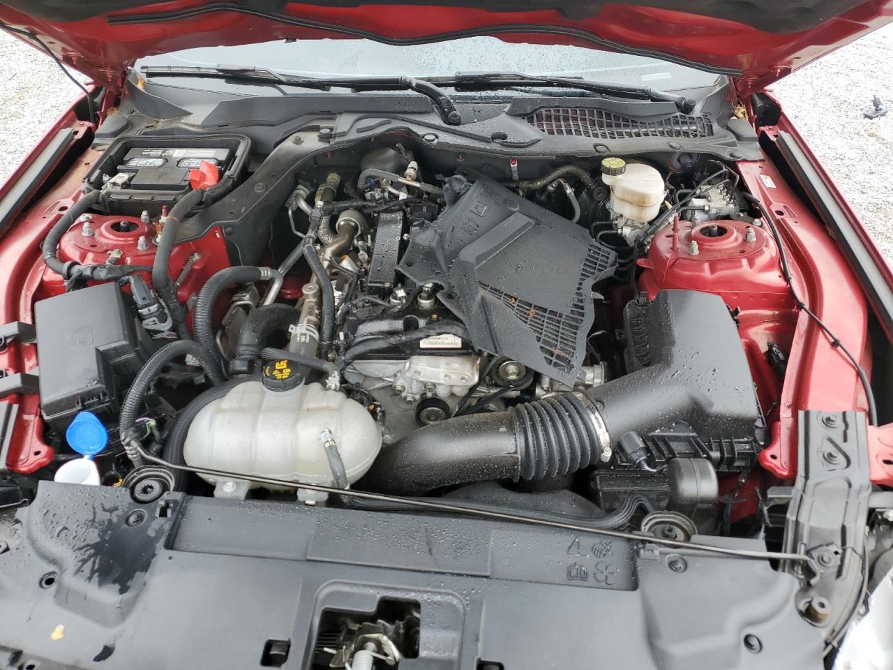 2022 FORD MUSTANG  VIN:1FA6P8TH3N5113012