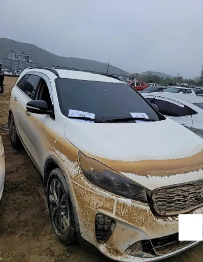 2019 Kia Sorento KNAPK81ABKA486663 VIN:KNAPK81ABKA486663