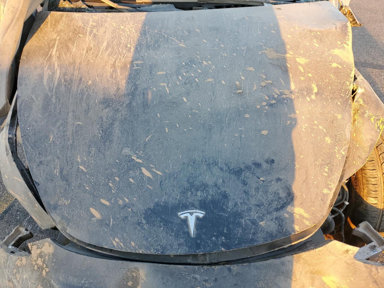 2024 TESLA MODEL Y  VIN:7SAYGDEE1RF132762