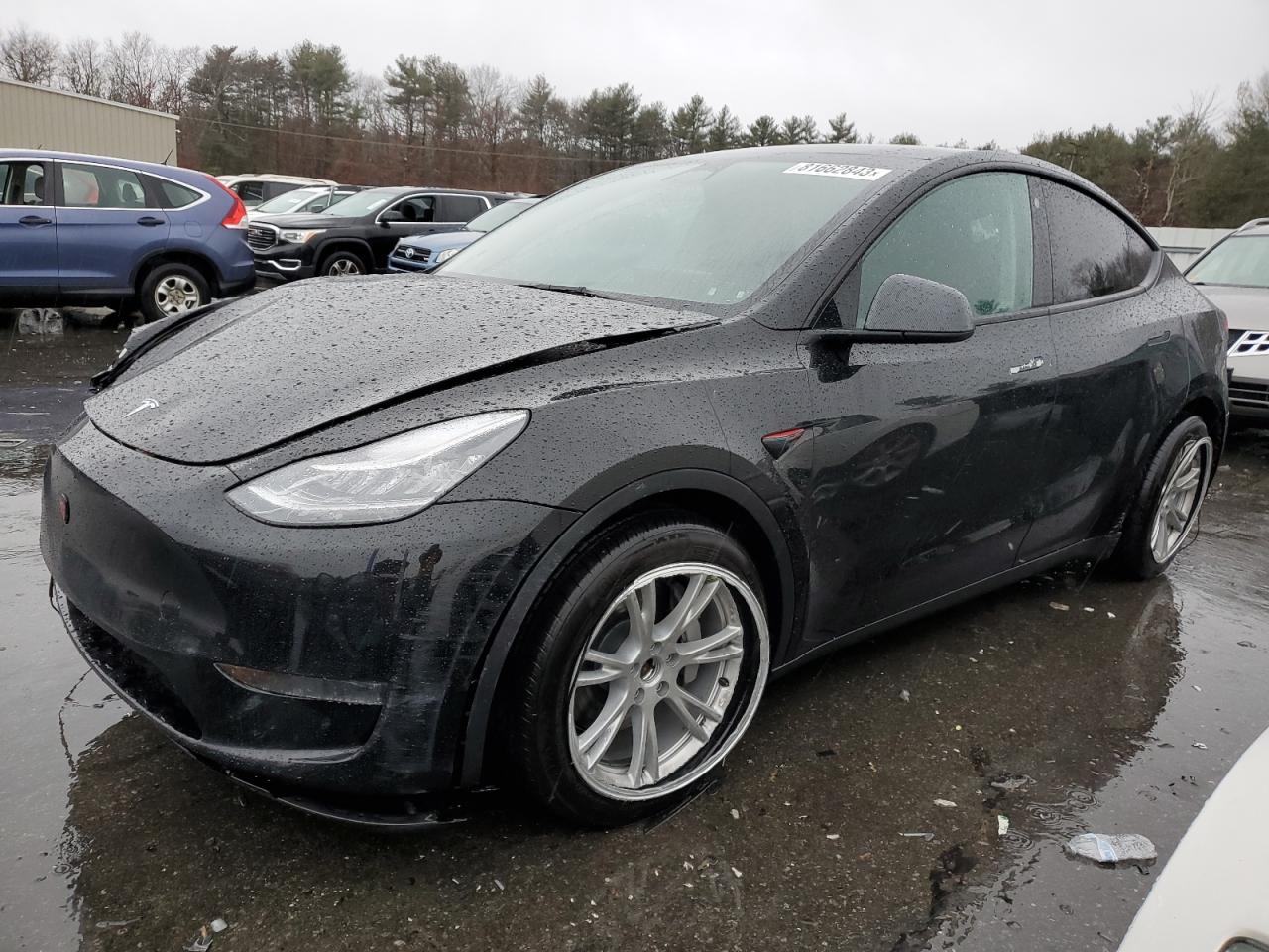 2023 TESLA MODEL Y  VIN:7SAYGDEE4PA058635