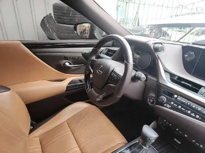 2019 Lexus ES 300 VIN: