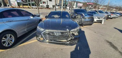 2020 Audi 50 WAUZZZF21LN091133 VIN:WAUZZZF21LN091133