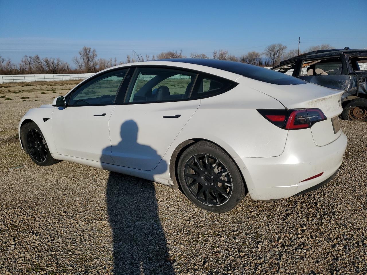 2022 TESLA MODEL 3  VIN:5YJ3E1EB9NF222043